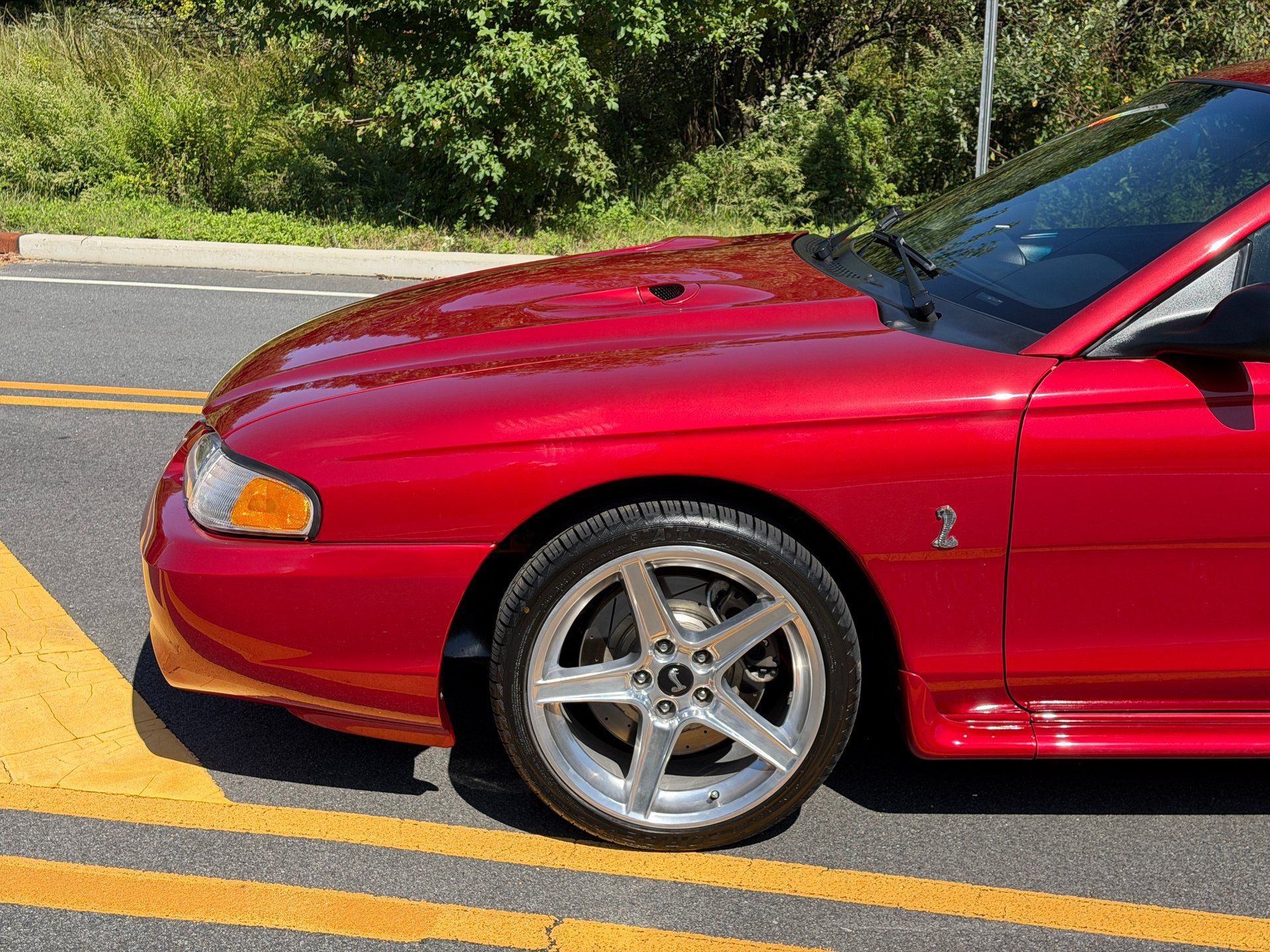 Used 1996 Ford Mustang Cobra RWD image 5