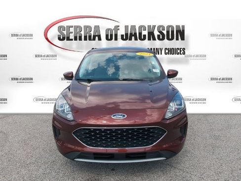 Used 2021 Ford Escape SE AWD/4WD image 3