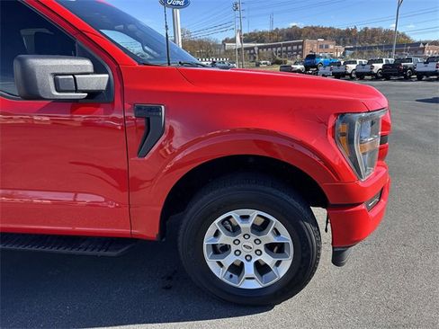 Used 2023 Ford F150 XL w/ STX Appearance Package image 2