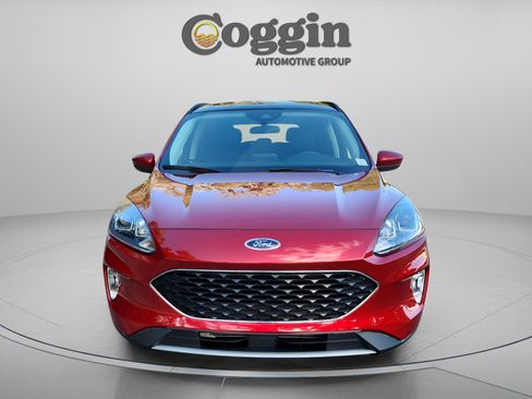 Certified 2022 Ford Escape SEL image 8