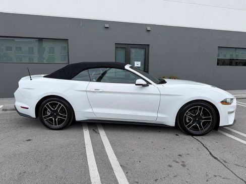 Used 2019 Ford Mustang Premium RWD image 16