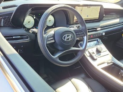 New 2025 Hyundai Palisade Calligraphy