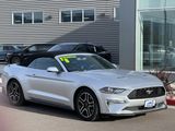 Used 2018 Ford Mustang Premium image 4