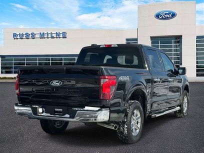 Used 2025 Ford F150 XLT w/ Equipment Group 301A Standard