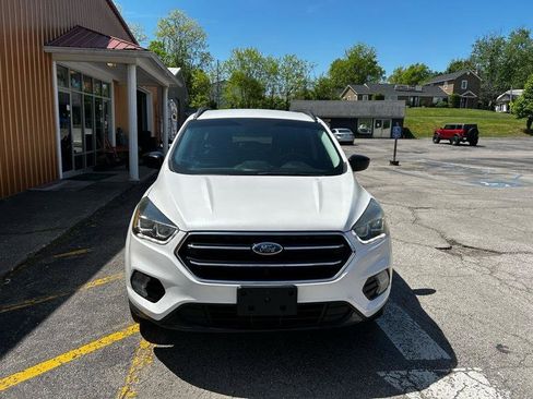 Used 2017 Ford Escape SE w/ Equipment Group 201A image 3