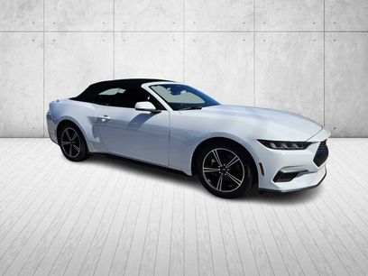 Used 2024 Ford Mustang Premium
