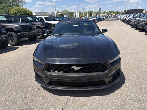 Used 2024 Ford Mustang Premium RWD image 4
