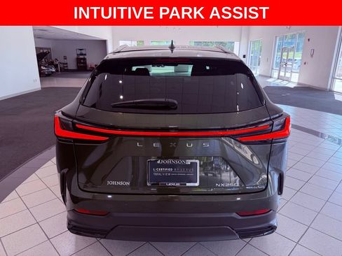 Certified 2025 Lexus NX 250 FWD w/ Cold Area Package image 6