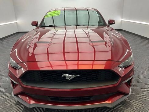 Used 2019 Ford Mustang Coupe RWD image 2