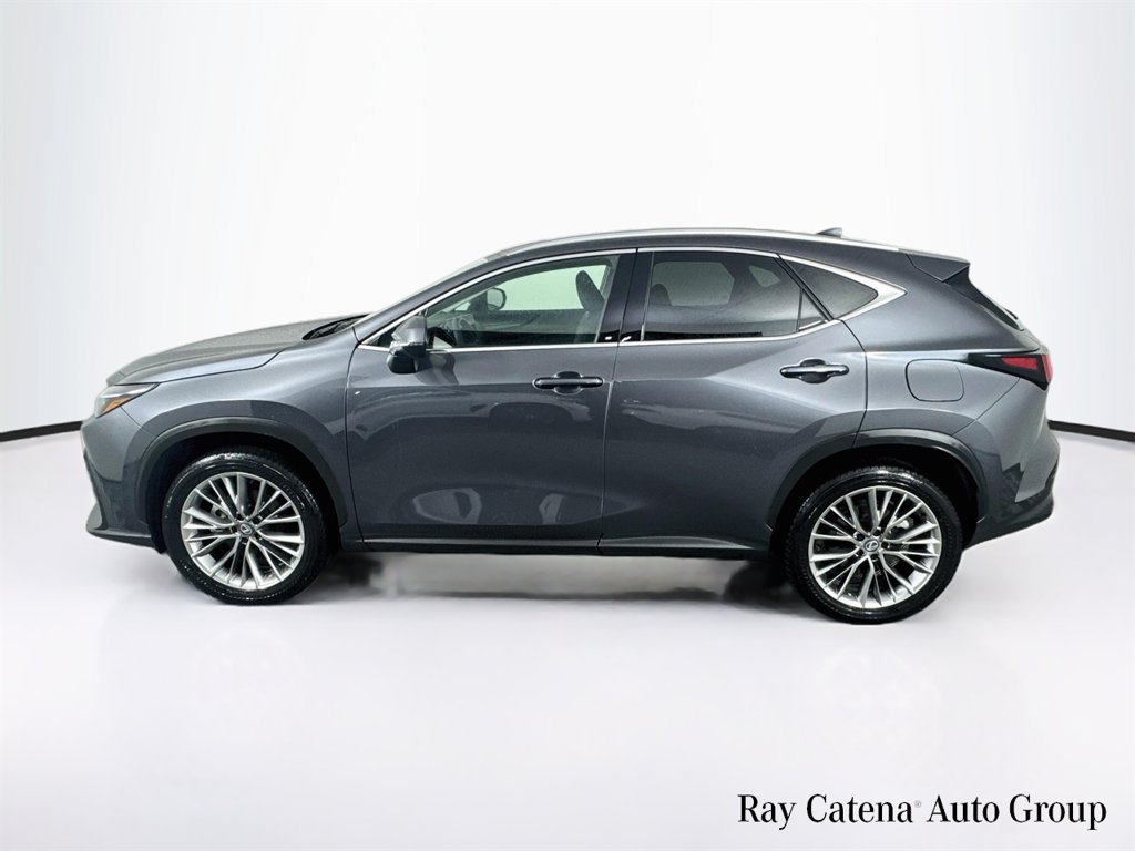 Certified 2026 Lexus NX 350h AWD w/ Cold Area Package image 4