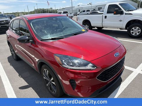 Used 2021 Ford Escape SE w/ SE Sport Appearance Package FWD image 1
