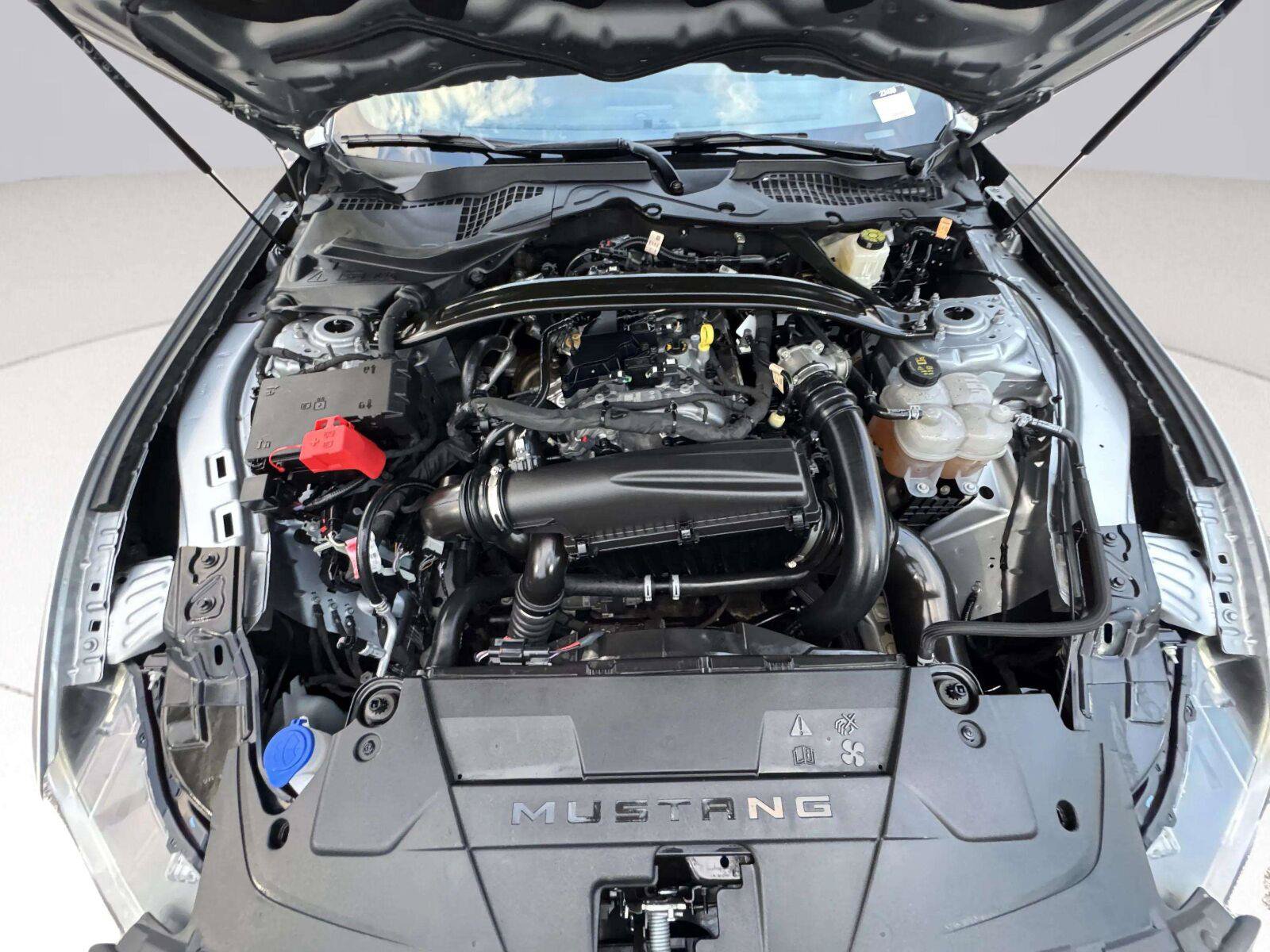 Used 2025 Ford Mustang Premium RWD image 48