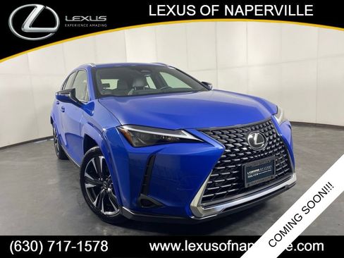Used 2025 Lexus UX 300h AWD w/ Cold Area Package image 1