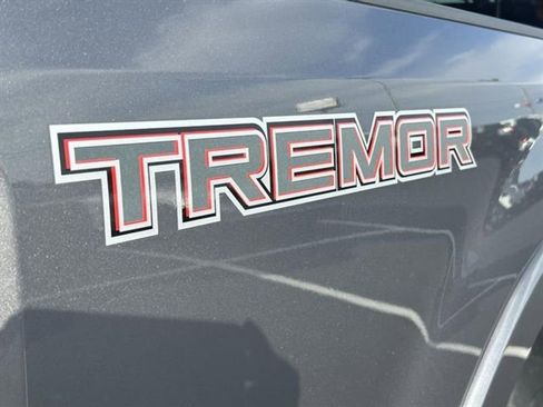 Used 2022 Ford F250 Platinum w/ Tremor Off-Road Package image 8