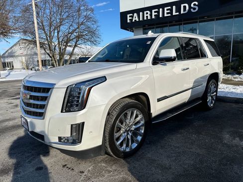 Used 2019 Cadillac Escalade Luxury image 1