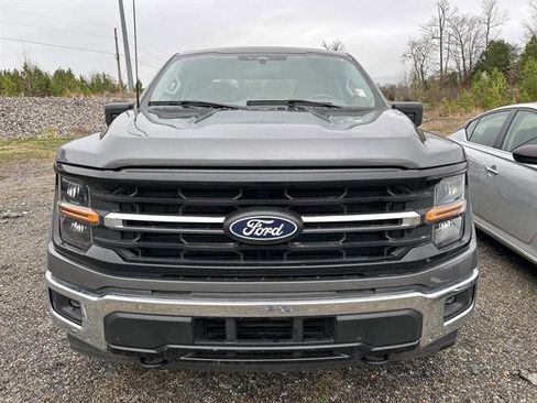 Used 2025 Ford F150 XLT w/ Equipment Group 301A Standard image 6