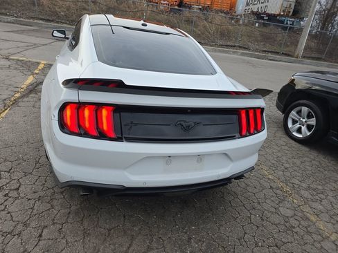 Used 2019 Ford Mustang Coupe w/ Equipment Group 101A image 5