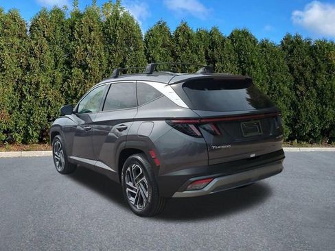 Certified 2025 Hyundai Tucson Limited image 6