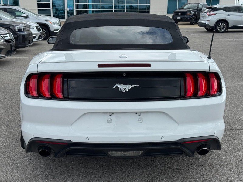 Used 2019 Ford Mustang Premium RWD image 4