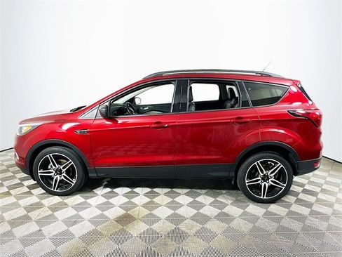 Used 2019 Ford Escape SEL image 6