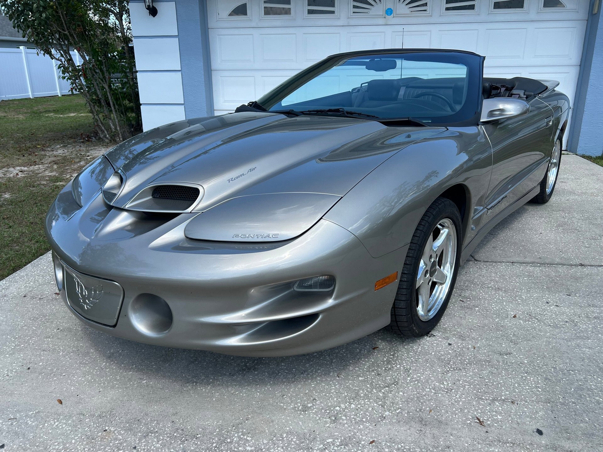 Used 2000 Pontiac Firebird Trans Am RWD image 3