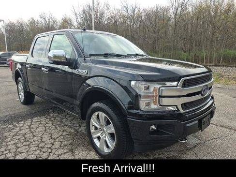 Used 2020 Ford F150 Platinum w/ Equipment Group 701A Luxury image 11