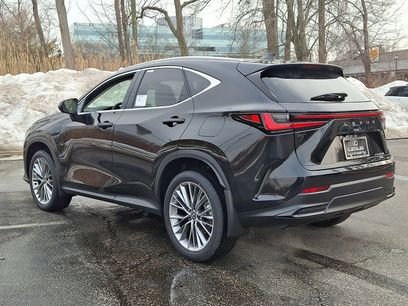 New 2026 Lexus NX 350 AWD w/ Luxury Package