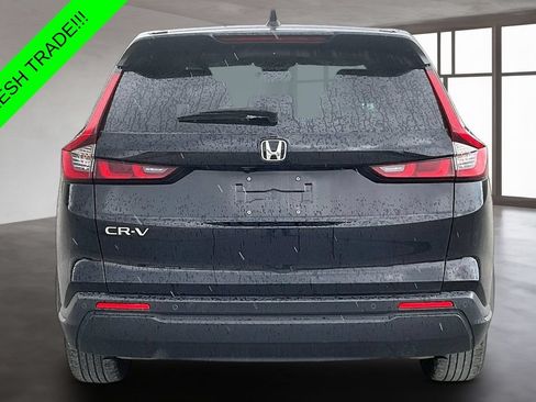 Used 2025 Honda CR-V EX-L image 5