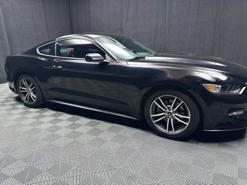 Used 2017 Ford Mustang Premium image 15