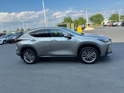 Used 2022 Lexus NX 350h AWD image 5