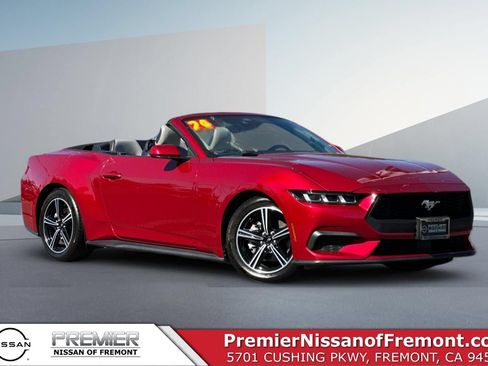 Used 2024 Ford Mustang Premium RWD image 1