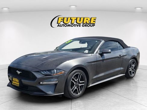 Used 2019 Ford Mustang Premium image 1