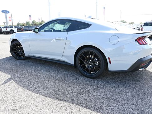 New 2026 Ford Mustang Coupe w/ Mustang Nite Pony Package RWD image 6