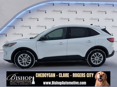 Used 2022 Ford Escape SE w/ Cold Weather Package image 11