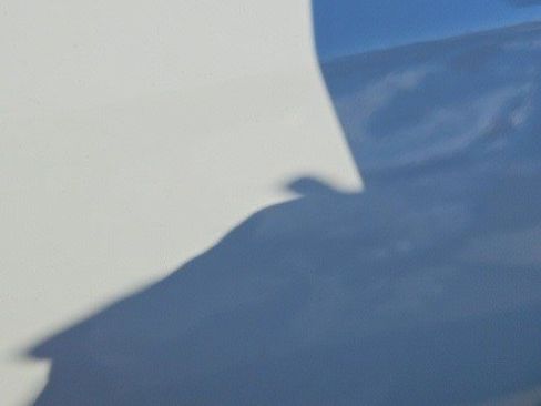 New 2026 RAM ProMaster 2500 w/ Safety Group image 15