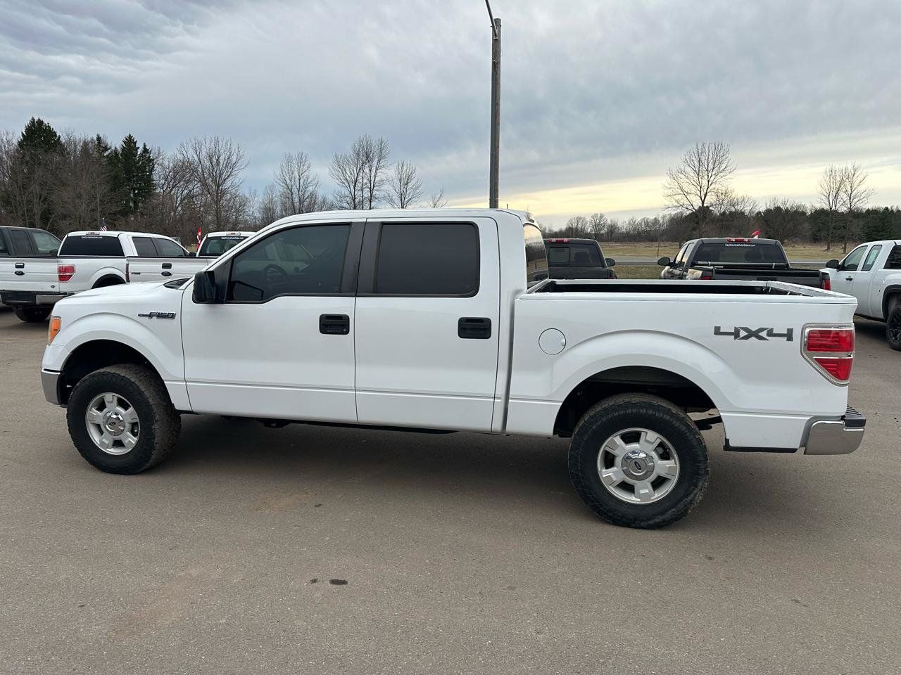 Used 2014 Ford F150 XLT AWD/4WD image 8