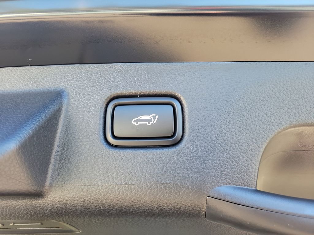 New 2026 Kia Seltos EX w/ EX Sunroof Package AWD/4WD image 15