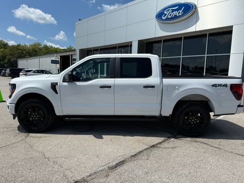 Used 2024 Ford F150 STX w/ STX Black Appearance Package image 4