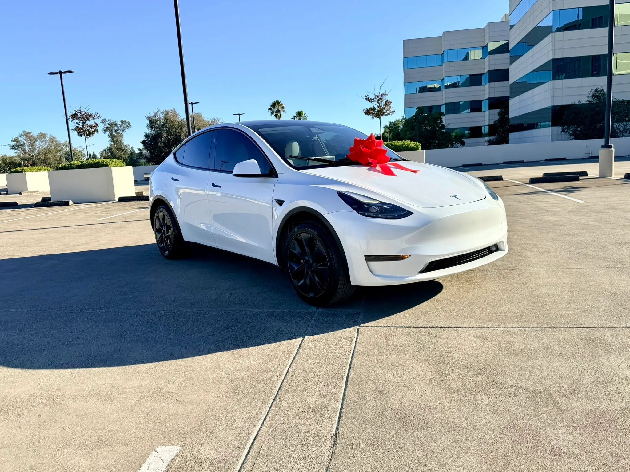 Used 2024 Tesla Model Y Long Range RWD image 19