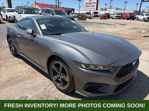Used 2024 Ford Mustang Premium image 1