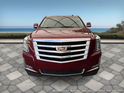 Used 2019 Cadillac Escalade Luxury image 3
