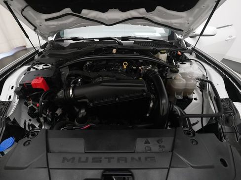 Used 2025 Ford Mustang Premium RWD image 3