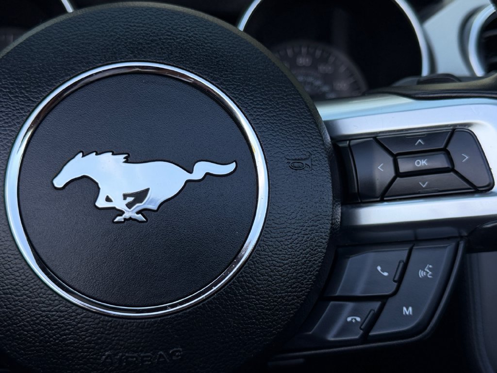 Used 2019 Ford Mustang Premium RWD image 23