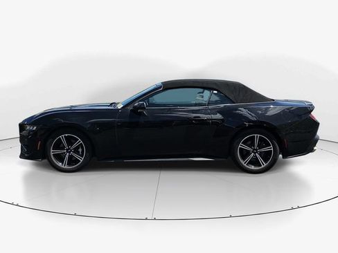 Used 2025 Ford Mustang Premium RWD image 6
