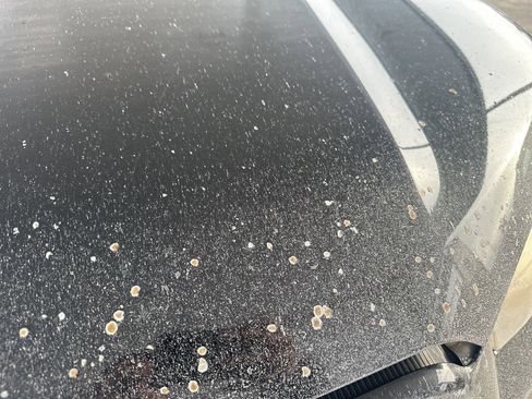 Used 2011 Toyota 4Runner SR5 image 15