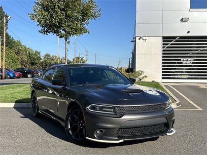 Used 2019 Dodge Charger R/T w/ Driver Confidence Group