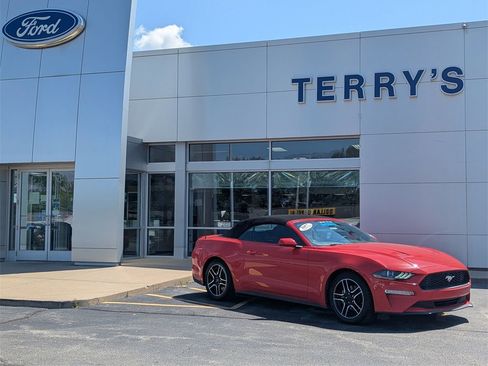 Used 2023 Ford Mustang Premium image 1