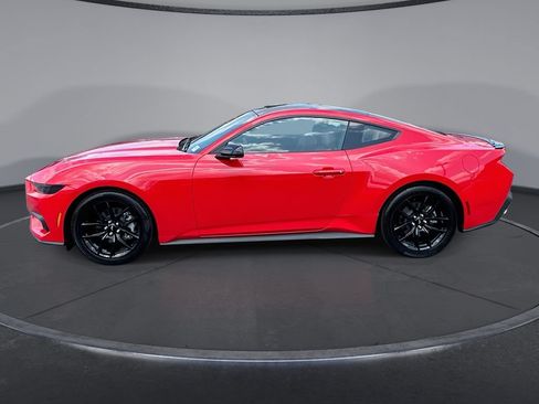 Used 2026 Ford Mustang Coupe w/ Mustang Nite Pony Package RWD image 15
