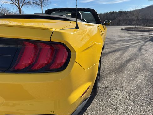 Used 2018 Ford Mustang Premium w/ Equipment Group 201A image 6