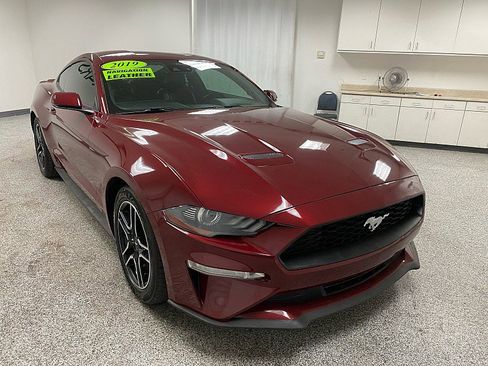 Used 2019 Ford Mustang Premium w/ Equipment Group 201A image 3